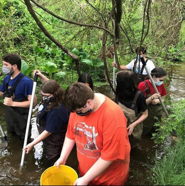 looking for macroinvertebrates with a class