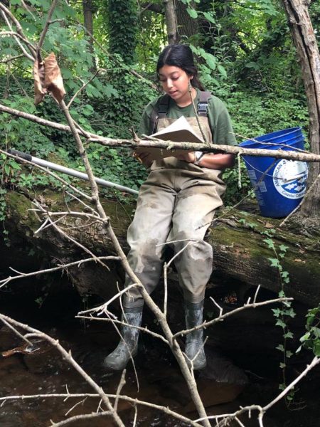 ann writing down data for a visual stream assessment