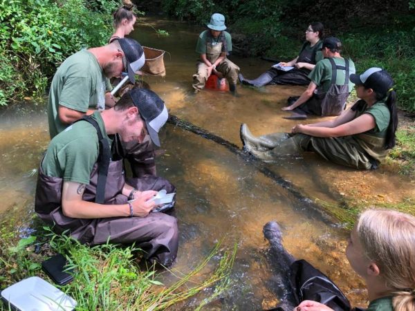 looking for benthic macroinvertebrates