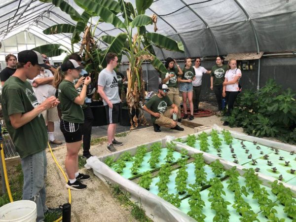 learning about the hydroponics at mill creek urban farm