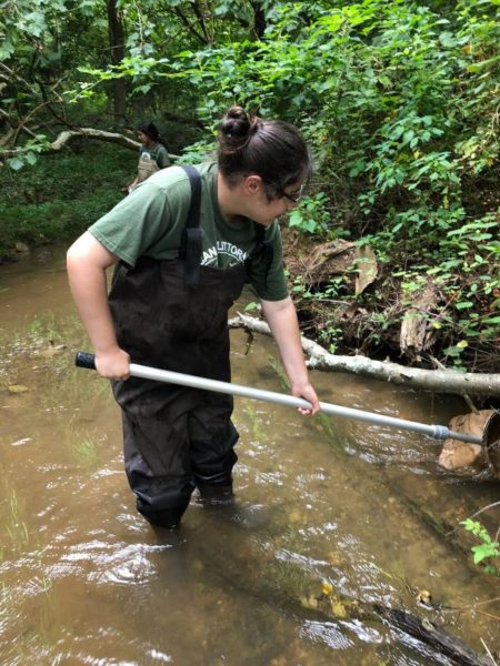 lexi looking for macroinvertebrates