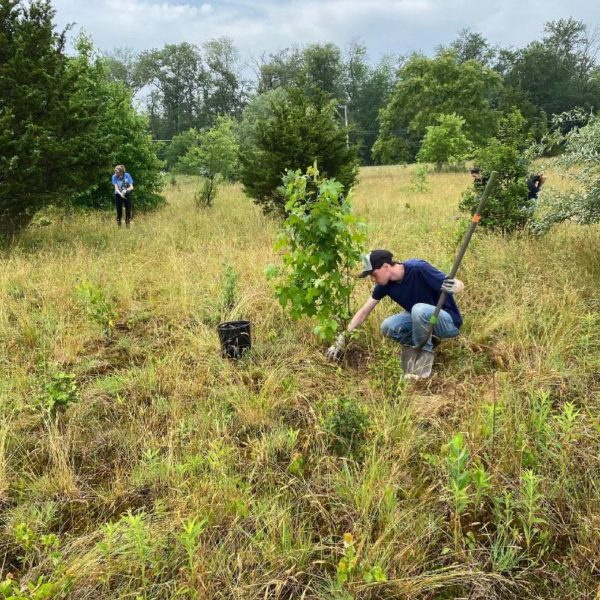 richard planting a tree at schalick high school