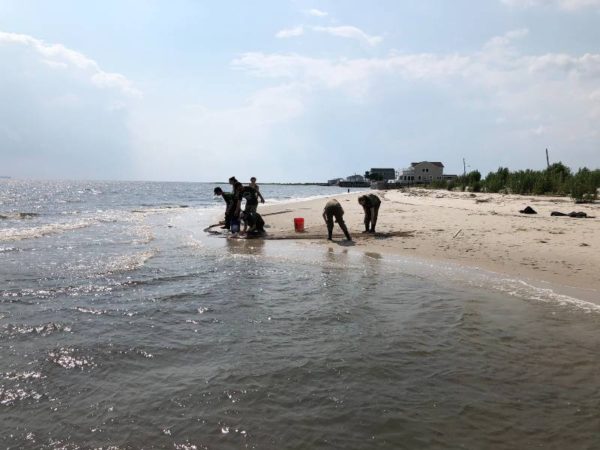 seining at the delaware bay